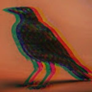 Meet your Posher, Hayden